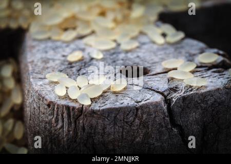 Braunes Reisgelb, für Risotto auf einem Holzbrett Stockfoto