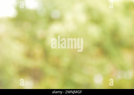 Unscharfes Naturfoto Stockfoto