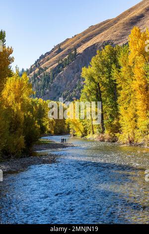 USA, Idaho, Hailey: Im Herbst könnt ihr euch am Ufer des Flusses in der Ferne bestaunen lassen Stockfoto