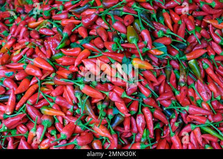 Heap red hot Chili peppers Stockfoto