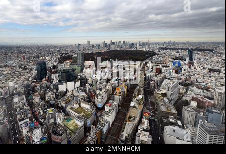 Blick auf den Yoyogi Park, Shinjuku und die Harajuku Gegend in Tokio, Japan. Stockfoto