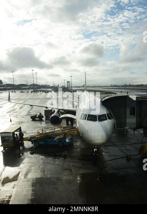 Royal Brunei Airlines Flugzeug in HKIA, Hongkong. Stockfoto