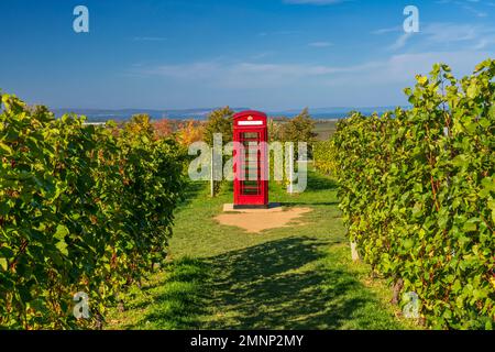 An einer roten britischen Telefonzelle und Weinbergen die Luckett Vineyards, Gaspereau Valley, Nova Scotia, Kanada. Stockfoto