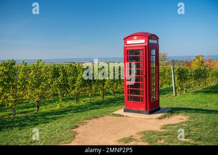 An einer roten britischen Telefonzelle und Weinbergen die Luckett Vineyards, Gaspereau Valley, Nova Scotia, Kanada. Stockfoto