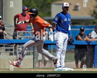 Baltimore Orioles third baseman Craig Worthington at the spring training  baseball facility in Miami, Florida on March 12, 1989. Photo by Francis  Specker Stock Photo - Alamy