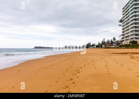 Collaroy Beach Sydney an einem bewölkten Sommertag 2023 blicken die Apartmentgebäude auf den Strand und das Meer, Sydney, NSW, Australien Stockfoto