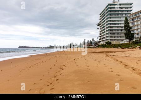 Collaroy Beach Sydney an einem bewölkten Sommertag 2023 blicken die Apartmentgebäude auf den Strand und das Meer, Sydney, NSW, Australien Stockfoto