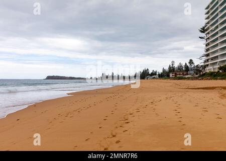 Collaroy Beach Sydney an einem bewölkten Sommertag 2023 blicken die Apartmentgebäude auf den Strand und das Meer, Sydney, NSW, Australien Stockfoto