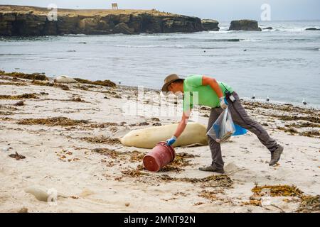 100522-N-KD414-7715 SAN NICOLAS ISLAND, KALIFORNIEN (NNS) (OKT 5, 2022) – die US-Marine führte eine jährliche Küstenreinigung an den abgelegenen Stränden von San Nicolas Island (SNI), der am stärksten isolierten der kalifornischen Kanalinseln, die 65 Meilen vor der Küste liegen, und südlich des Marinestützpunktes Ventura County (NBVC) Point Mugu durch. Das Aufräumteam bestand aus fast fünfzig freiwilligen Matrosen der Marine und Zivilisten, die dem NBVC und der Naval Air Warfare Center Weapons Division zugewiesen waren, die über zweitausend Pfund Müll und Schutt an drei SNI-Stränden entfernten. NBVC ist eine strategisch gelegene Naval-Installation bestehend Stockfoto