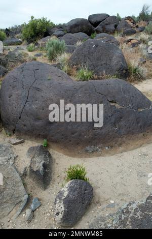 Der im Snake River Canyon abgelagerte Melonen-„Kies“ glättete sich, als sie während der katastrophalen Überschwemmung von Bonneville vor etwa 17.400 Jahren den Fluss hinunterstürzten Stockfoto