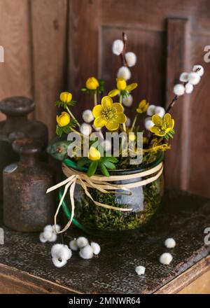 Wunderschönes Frühlingsblumen-Arrangement mit gelben Winterakonitblüten und Weidenkatzen in einem Glasgefäß. Rustikales Dekorkonzept. Speicherplatz kopieren. Stockfoto