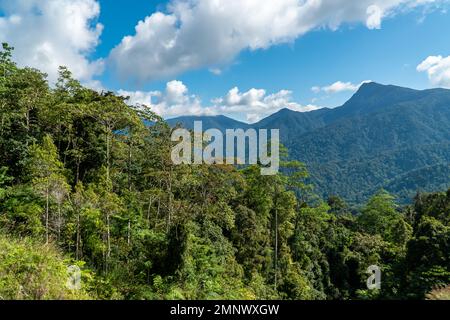 Sonniger Nachmittag. Wundervolle Sommerlandschaft in den Bergen. Ländliche Landschaft. Blick auf das Waldtal. Blue Ridge Mountains. Blauer Himmel mit Wolken über Schichten von Stockfoto