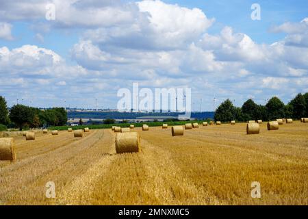Felder in der Nähe von Bad Wünnenberg. Querformat mit breiter Sicht und runden Strohballen nach der Ernte. Natur im Herbst. Stockfoto