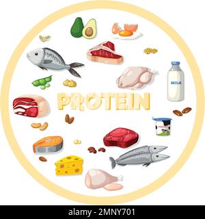 Variety of protein foods illustration Stock Vektor
