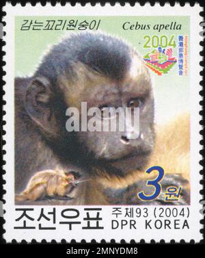 Nordkoreanische Briefmarke von 2004 mit einem getufteten Kapuzineraffen (Cebus apella) mit einer Wertung von 3 Won. Stockfoto