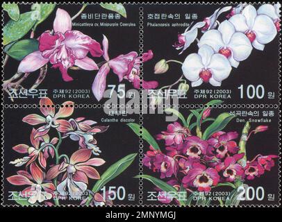 Set aus vier nordkoreanischen Briefmarken aus dem Jahr 2003 mit leuchtenden Orchideenblüten wie Phalaenopsis und Cattleya auf schwarzem Hintergrund. Stockfoto