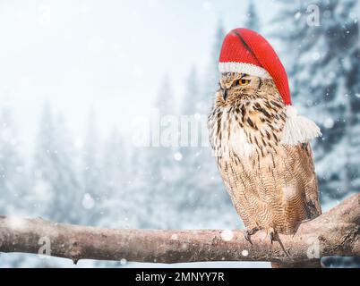 Weihnachten und Neujahrseule im Weihnachtsmann-Hut Stockfoto