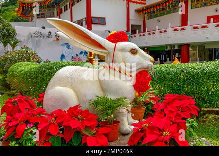 Kuala Lumpur, Malaysia - 2023: Kaninchen-Zodiac-Skulptur zum Gedenken an das chinesische Neujahr, das Jahr des Wasserkaninchens im chinesischen Tierkreislauf. In Thean Hou Stockfoto