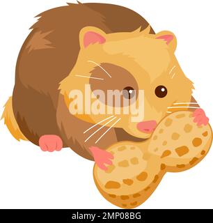 Hamstertier mit Erdnuss auf weißem Hintergrund. Vektordarstellung Stock Vektor