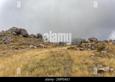 Nationalpark Andringitra, Region Haute Matsiatra, Madagaskar, wunderschöne Berglandschaft. Wandern im Andringitra-Gebirge. Madagaskar Wildness la Stockfoto