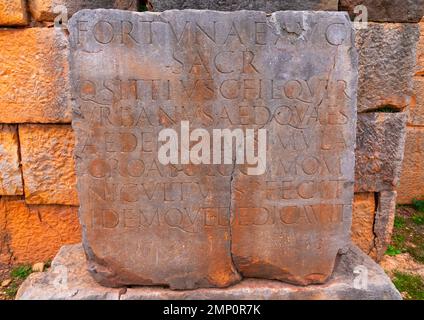 Inschriften entlang Cardo Maximus in Tiddis römischen Ruinen, Nordafrika, BNI Hamden, Algerien Stockfoto