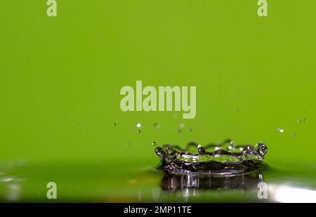Makrofoto eines kronenförmigen Wasserspiegels Stockfoto