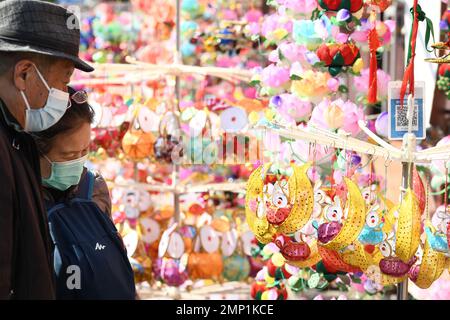 NANJING, CHINA - 31. JANUAR 2023 - Besucher wählen Lantern Festivallaternen auf dem Konfuzius Tempel Lantern Markt in Nanjing, ostchinesischer PR Jiangsu Stockfoto