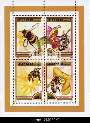 Nordkoreanische Briefmarken von 2000 mit Bienen (Bombus und APIs mellifera) auf Blumen, DPR Korea Philatelie Sammlung. Stockfoto