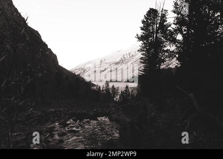 Ein Schwarzweißfoto eines Flusses, der in den Alpensee Shavlinskoe unter Felsen in den Schatten der Berge in Altai während der Auten fließt Stockfoto