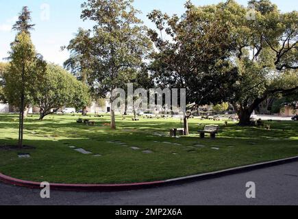 Im Pierce Brothers Westwood Village Memorial Park and Mortuary fand am Wochenende für Heath Ledger eine GEDENKFEIER IN LA statt, wo sich Freunde und Familie versammelten, um ihnen die letzte Ehre zu erweisen. Es wird berichtet, dass Ledger' Leiche dann zu seinem Heimatland Australien geflogen wurde, seiner letzten Ruhestätte. Westwood, Kalifornien. 1/28/08. Stockfoto