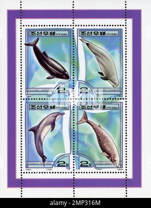 Nordkoreanische Briefmarken von 2000 mit Phocoena spinipinnis, Neophocaena phocaenoides, Tursiops truncatus und Ziphius cavirostris. Stockfoto