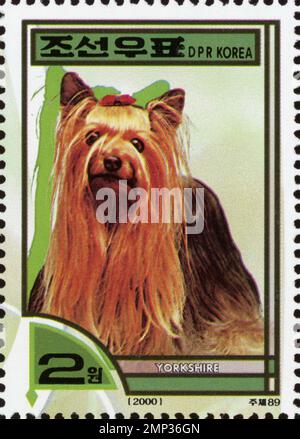 Nordkoreanische Briefmarke von 2000 mit einem Yorkshire Terrier Hund mit langen Haaren und roter Schleife. Stockfoto