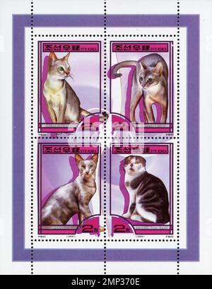 Blatt mit vier nordkoreanischen Briefmarken aus dem Jahr 2000 mit Katzenrassen: Singapour Tabby, Abyssin Bleu, Oriental und Scottish Fold Tabby. Stockfoto