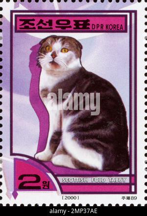 Nordkoreanische Briefmarke von 2000 mit einer schottischen Fold Tabby Katze, 2 Won-Stückelung, DPR Korea Philatelie. Stockfoto