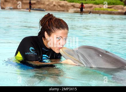 Exklusiv!! Miss Teen USA Hilary Cruz bei Dolphin Cay in Atlantis, Paradise Island auf den Bahamas 06/13/08. Stockfoto