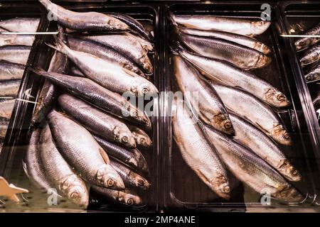 Verschiedene Arten von frischem Fisch im Supermarkt, Nahaufnahme Stockfoto