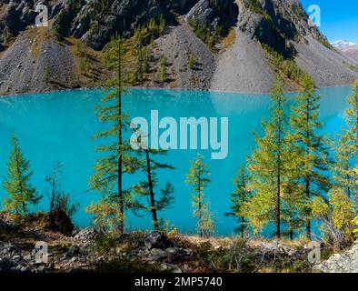 Bäume am Ufer des Shavlinskoe-Sees im Schatten mit Steinen inmitten der Berge mit Reflexionen im Altai. Stockfoto