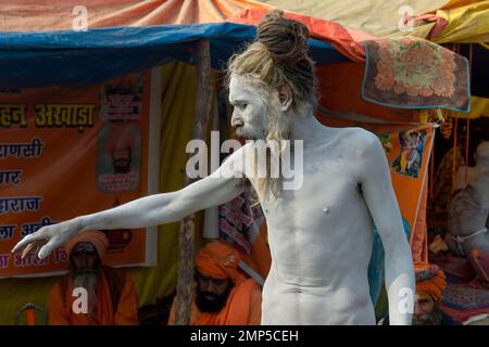 Sadhu mit weißer Asche bedeckt, nur für den redaktionellen Gebrauch, Allahabad Kumbh Mela, der weltweit größte religiöse Versammlung, Uttar Pradesh, Indien Stockfoto