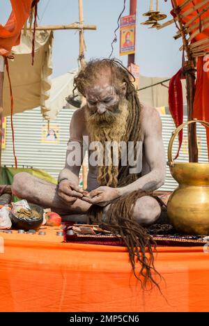 Sadhu mit weißer Asche bedeckt, nur für den redaktionellen Gebrauch, Allahabad Kumbh Mela, der weltweit größte religiöse Versammlung, Uttar Pradesh, Indien Stockfoto