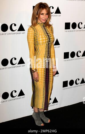 Rosanna Arquette nimmt an der 2011. Jährlichen MOCA Gala Teil, dem Manifest zum Leben eines Künstlers, das im Museum of Contemporary Art stattfindet. Los Angeles, Kalifornien. 12. November 2011 Stockfoto