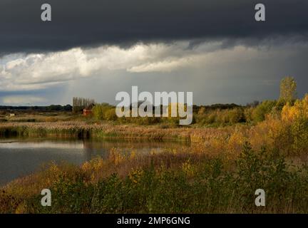 Stürmischer Himmel über North Cave Wetlands, East Yorkshire, England, Großbritannien Stockfoto