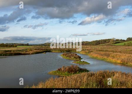 North Cave Wetlands, East Yorkshire, England, Großbritannien Stockfoto