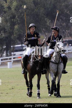 Nacho Figueras beim dritten jährlichen Veuve Clicquot Polo Classic im will Rogers State Historic Park in den Pacific Palisades. Los Angeles, Kalifornien. 6. Oktober 2012. Stockfoto