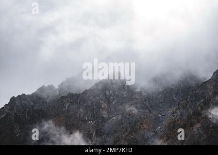 Nebel mit Schnee und Wolken zieht sich zu den steinernen Bergen mit Fichten und Wald auf steilen Felsen nach Regen am Morgen in Altai. Stockfoto