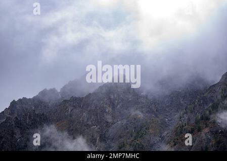 Nebel mit Schnee und Wolken zieht sich in die Steinberge mit Fichten und Wald auf steilen Klippen nach Regen am Morgen in Altai im Herbst. Stockfoto