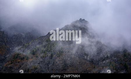 Nebel mit Schnee und Wolken zieht sich in die steinernen Berge mit Fichten und Wald auf steilen Klippen in Altai. Stockfoto