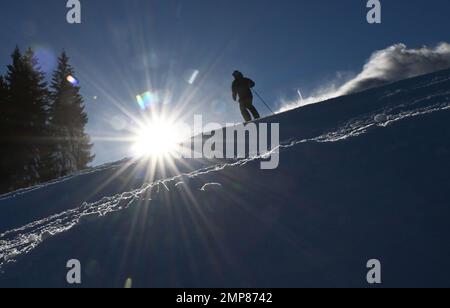 Garmisch Partenkirchen, Deutschland. 31. Januar 2023. Ein Skifahrer fährt in der Sonne auf der Piste Ski. Kredit: Angelika Warmuth/dpa/Alamy Live News Stockfoto