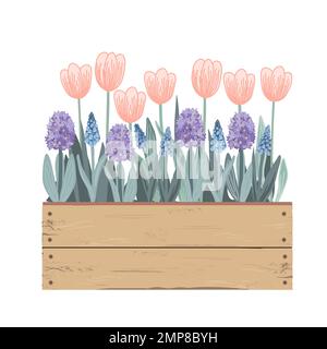 Alte Holzkiste mit Frühlingsblumen. Tulpen, Hyazinthen, Muscari. Von Hand gezeichnete Vektordarstellung des Doodle, isoliert auf Weiß. Sommergarten Stock Vektor