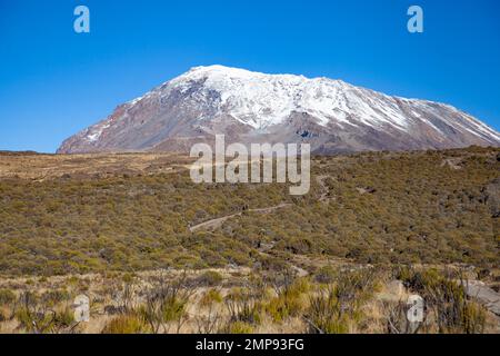 Schnee auf dem Gipfel des Kilimandscharo. Tansania. Stockfoto