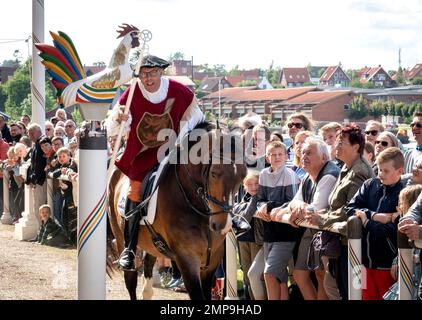 Beim Ringturnier in Augustenborg in Dänemark. Vvbvanbree Fotografie. Stockfoto